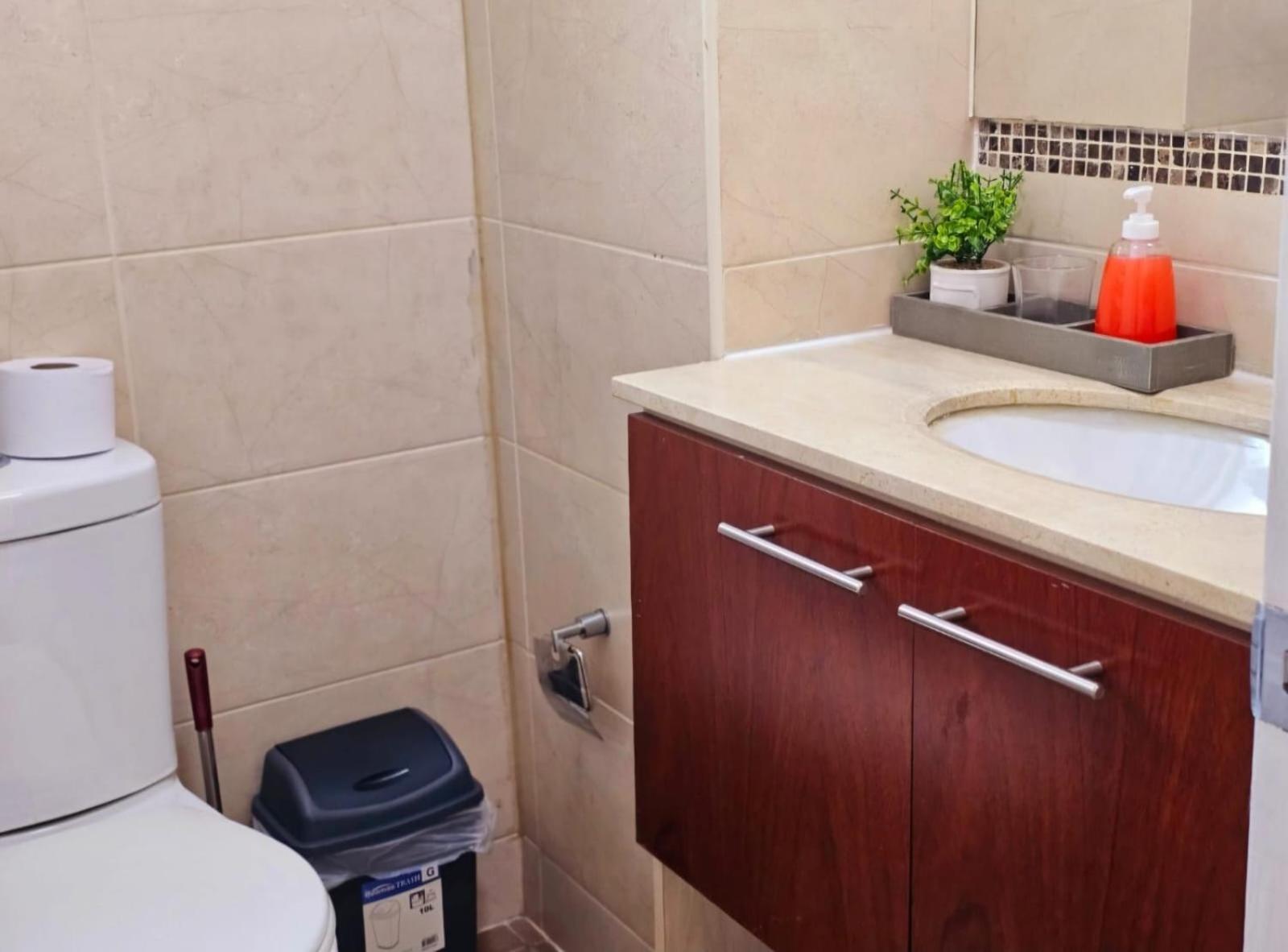 Apart Hotel Suagon Suites Santiago Centro Bagian luar foto